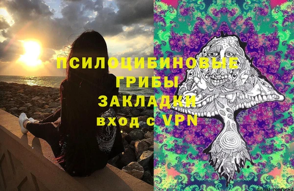 первитин Заводоуковск