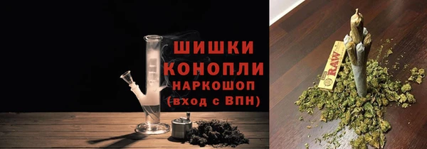 первитин Заводоуковск