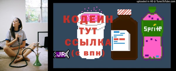 первитин Заводоуковск