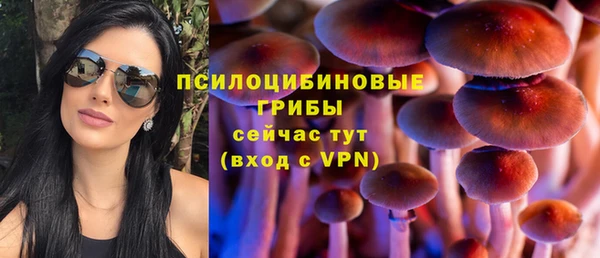 а пвп мука Заволжск