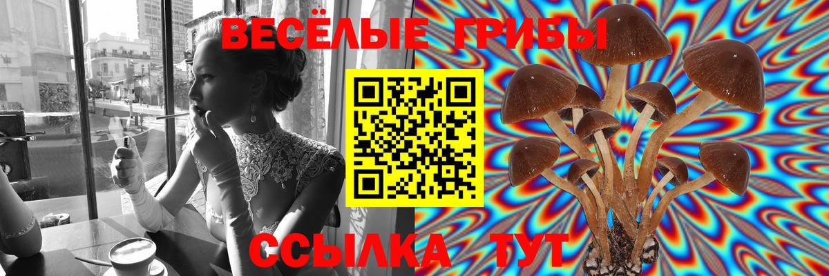 Псилоцибиновые грибы MAGIC MUSHROOMS  Ишимбай  наркотики  Галлюциногенные грибы GOLDEN TEACHER 