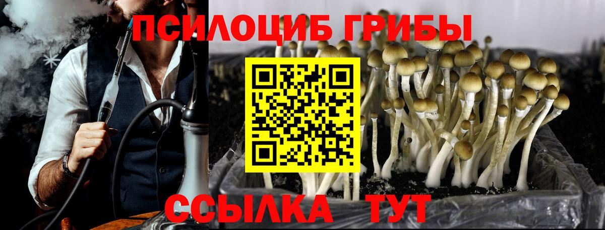 Галлюциногенные грибы мицелий Ишимбай