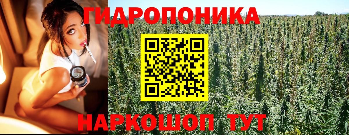 Шишки марихуана сатива Ишимбай